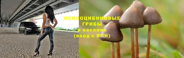 мдпв Медвежьегорск