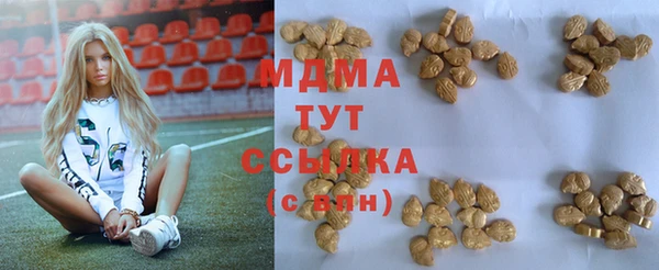 стафф Губаха