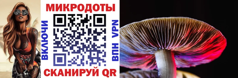 Галлюциногенные грибы Psilocybe  нарко площадка наркотические препараты  Нерехта 